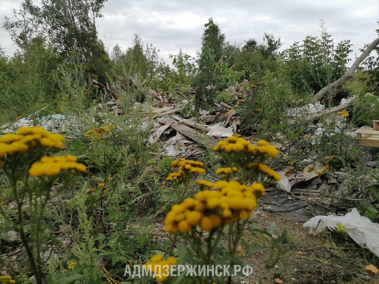 Ликвидация свалки размером в 17 футбольных полей начнется в Дзержинске в  2023 году - Администрация города Дзержинска